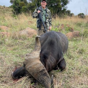 Buffalo Hunting South Africa