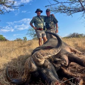 Buffalo Hunting South Africa