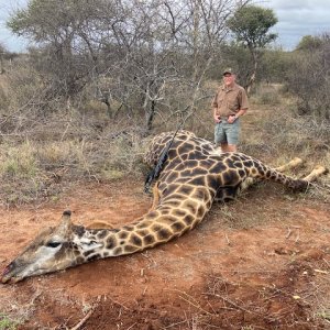 Giraffe Hunting South Africa