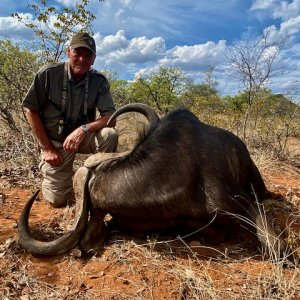 Buffalo Hunting South Africa