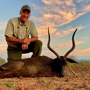 Black Impala Hunting South Africa