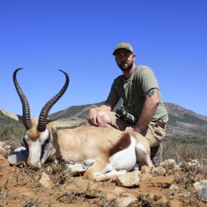 Springbok Hunt Karoo South Africa