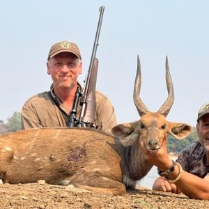 Bushbuck Hunt Zambia