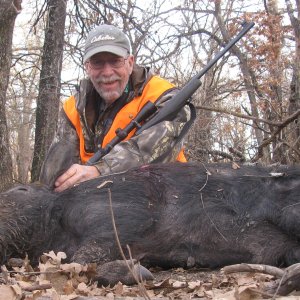 Hog Hunting