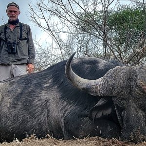 Buffalo Hunt Tanzania