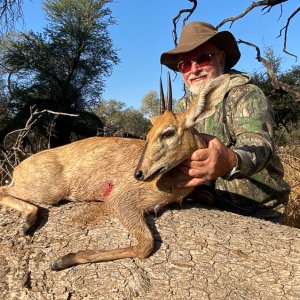 Duiker Hunt Namibia