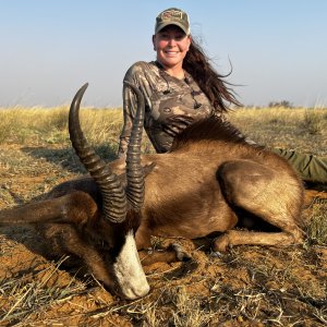 Springbok Hunt South Africa