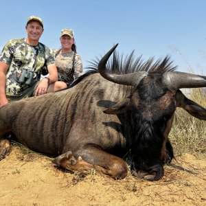 Blue Wildebeest Hunt South Africa