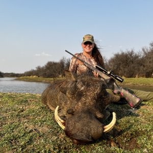 Warthog Hunt South Africa