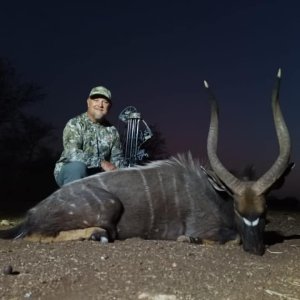 Nyala Bow Hunt Limpopo South Africa