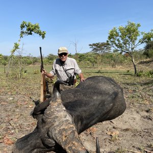 Buffalo Hunting Lukwati Tanzania