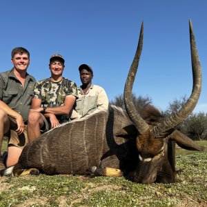 Nyala Hunt South Africa