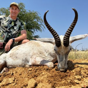 White Springbok Hunt South Africa