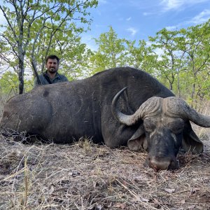 Buffalo Hunt Nuanetsi Conservancy Zimbabwe