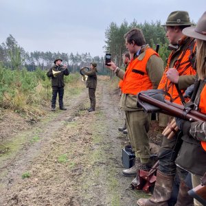 Driven Boar Hunt In Czech Republic