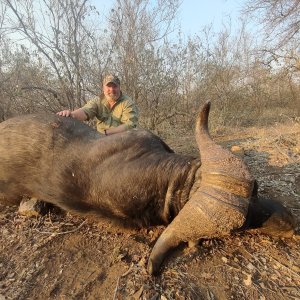 Buffalo Hunting South Africa