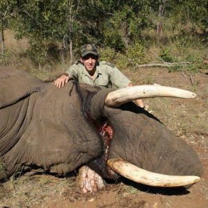 Elephant Hunting South Africa