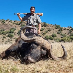 Buffalo Hunting South Africa