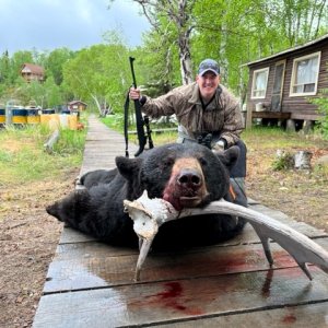 Black Bear Hunting