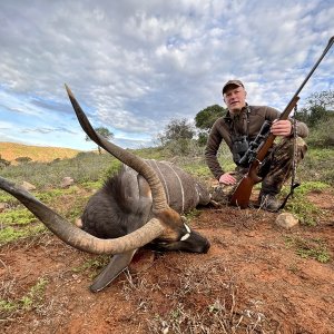 Nyala Hunt Karoo South Africa