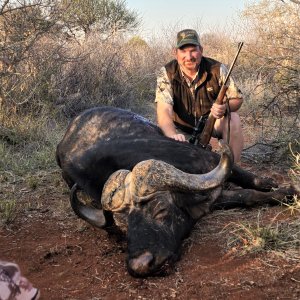 Buffalo Hunting