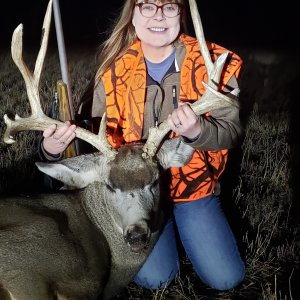 Mule Deer Hunting