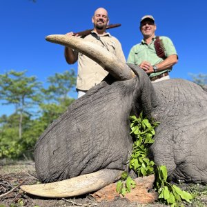 Elephant Hunt Caprivi Namibia