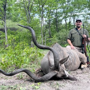 Kudu Hunt Caprivi Namibia