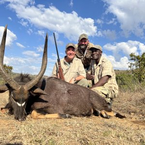 Nyala Hunting