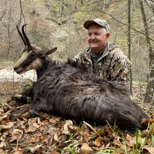 Chamois Hunt Romania