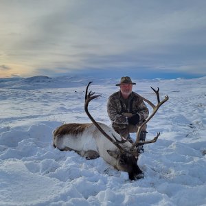 Caribou Hunting Greenland