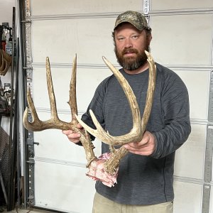 Whitetail Hunt Kansas