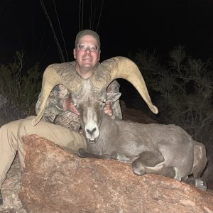 Hunting Arizona Desert Bighorn Sheep