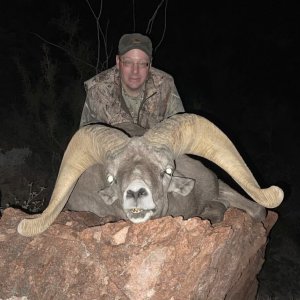 Hunting Arizona Desert Bighorn Sheep