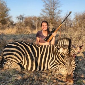 Zebra Hunting South Africa