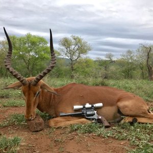 Impala Handgun Hunt