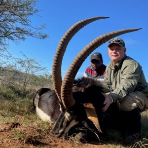 Sable Hunting South Africa