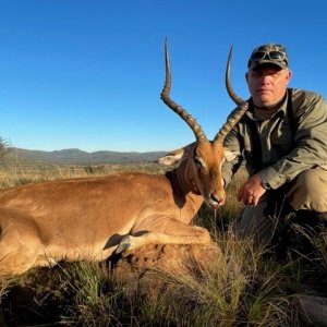 Impala Hunting South Africa