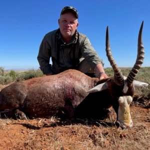 Blesbok Hunting South Africa