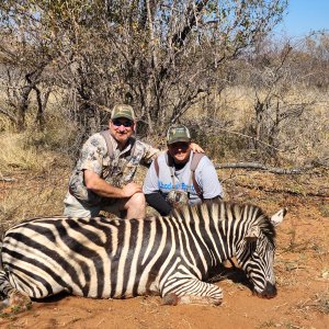 Zebra Hunting South Africa