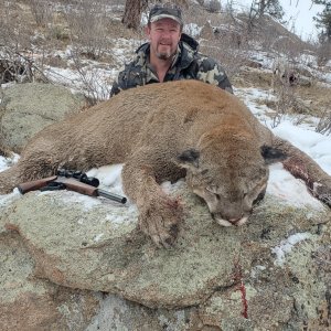 Mountain Lion Hunt