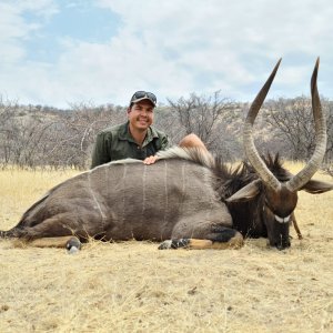 Nyala Hunting Namibia