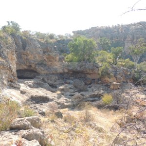 Leopard bait Namibia