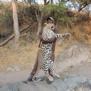 Leopard Hunting Namibia