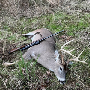 Whitetail Deer Hunting