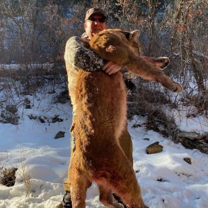 CO Mountain Lion with revolver