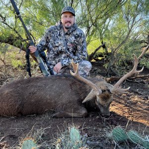 Dybowski Sika Hunt Texas