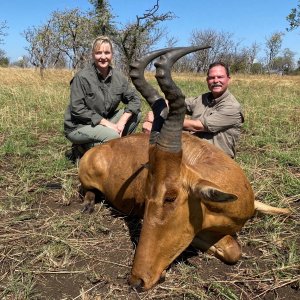 Hartebeest Hunting Uganda