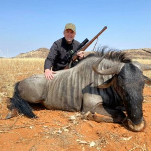 Blue Wildebeest Hunt Namibia