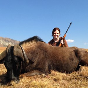 Black Wildebeest Hunt